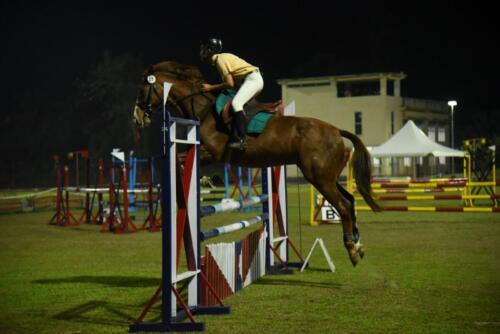 Assam State Equestrian Championship